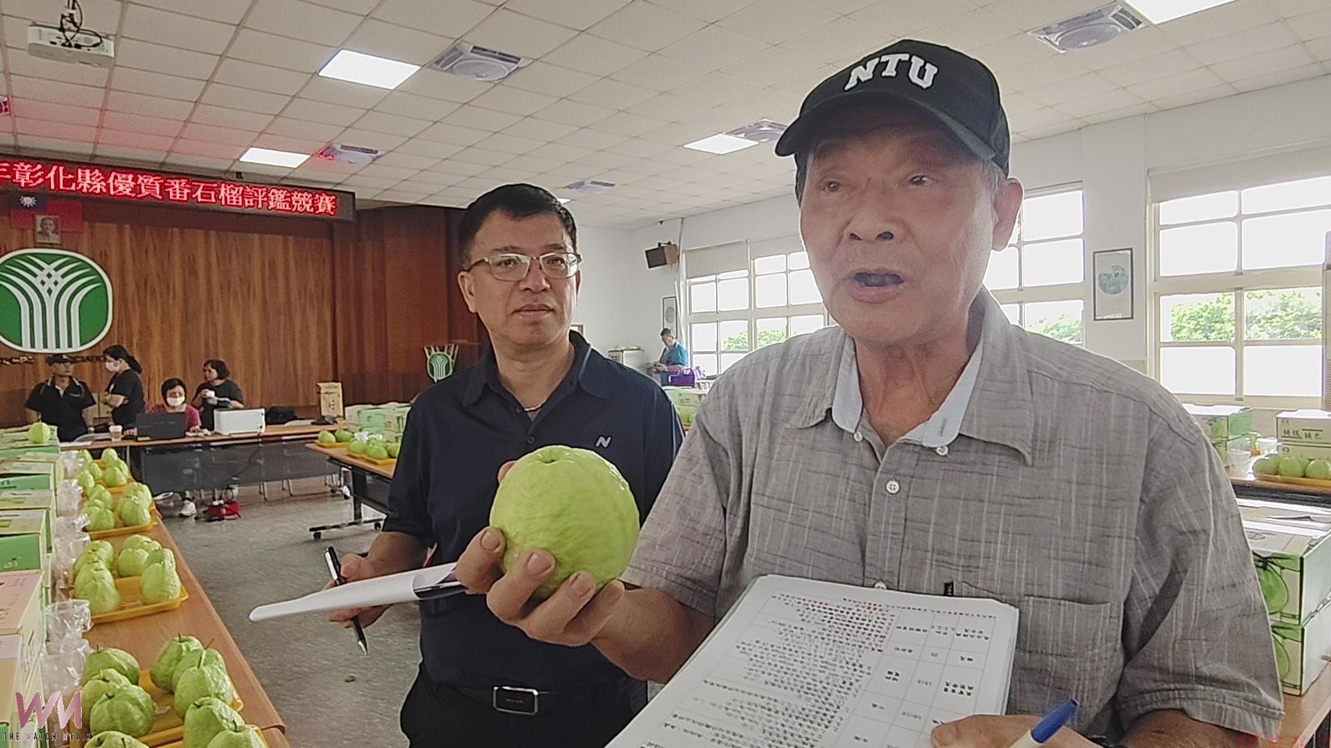 (有影片)/彰化番石榴評鑑出爐 社頭翁聰敏摘冠、溪州果農大豐收 (有影片)/彰化番石榴評鑑出爐 社頭翁聰敏摘冠、溪州果農大豐收