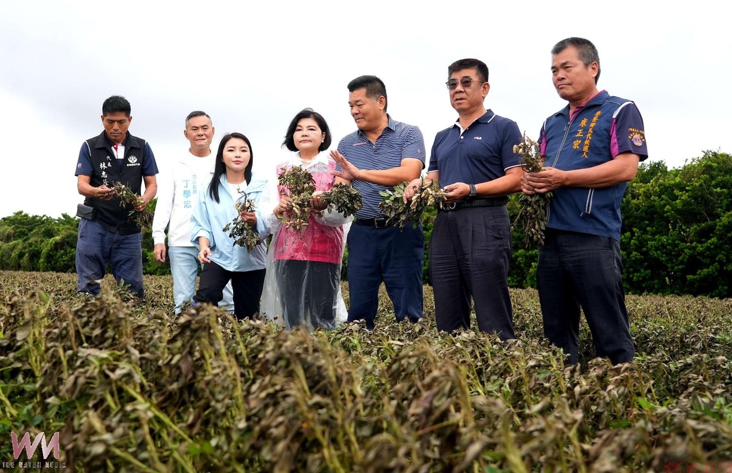 薔琵強風吹垮雲林農作!400多公頃受損 張麗善急爭全品項現金救助 薔琵強風吹垮雲林農作!400多公頃受損 張麗善急爭全品項現金救助