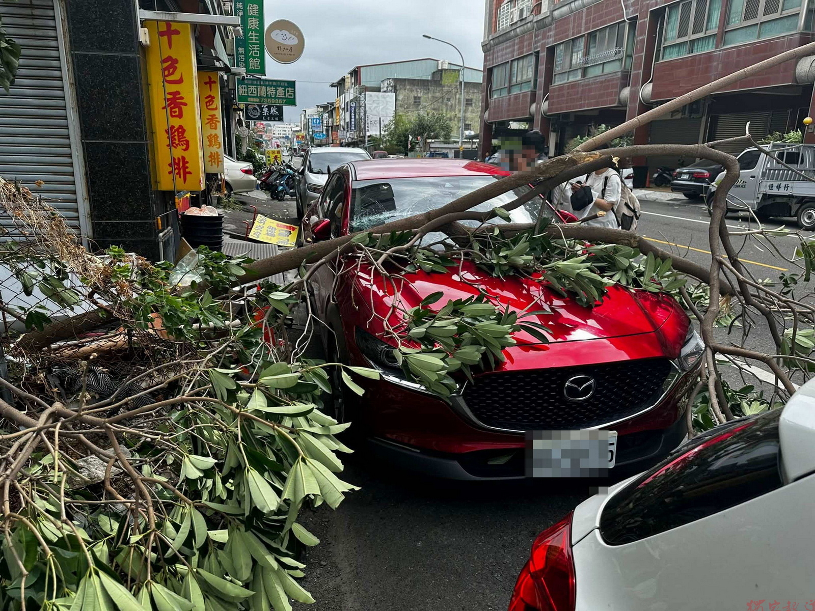 一場尿救一命!彰化男下車上廁所 愛車遭路樹砸爛 一場尿救一命!彰化男下車上廁所 愛車遭路樹砸爛