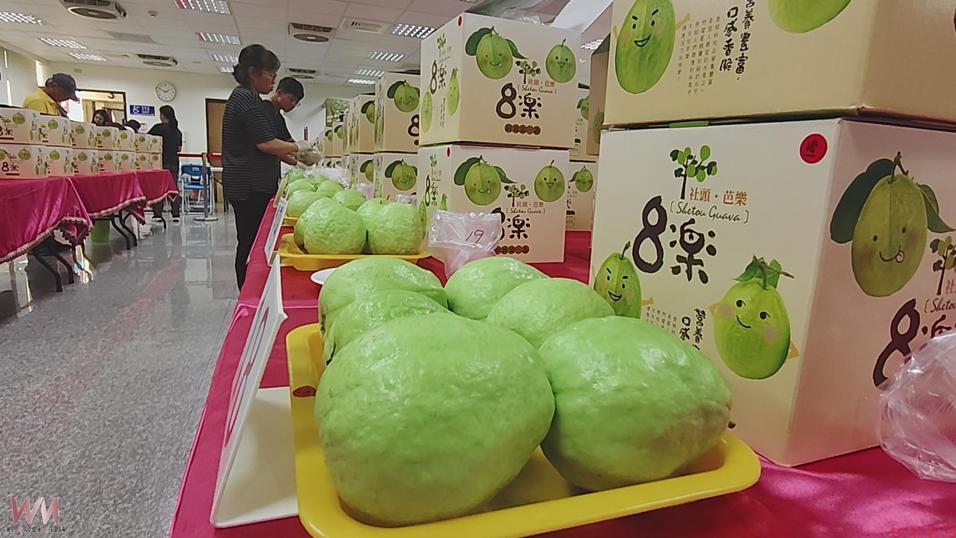 (有影片)/社頭芭樂評鑑出爐!今年首度檢測維生素C (有影片)/社頭芭樂評鑑出爐!今年首度檢測維生素C