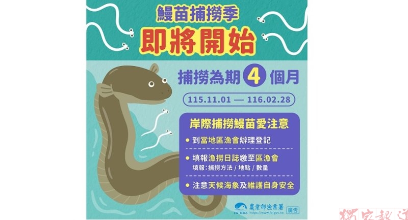 鰻苗捕撈漁季將於11月起跑 漁業署推行溯源管理系統確保貿易透明 鰻苗捕撈漁季將於11月起跑 漁業署推行溯源管理系統確保貿易透明