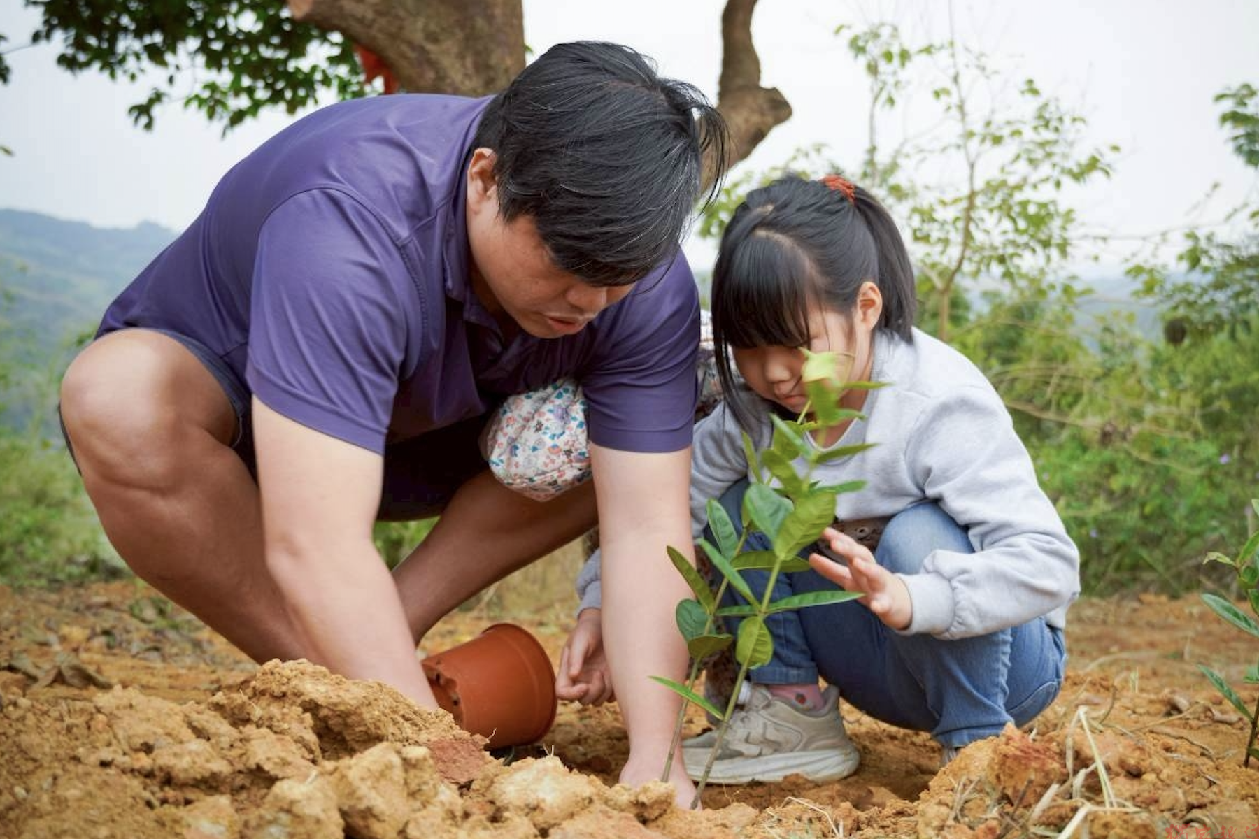響應國際減災日!新北農業局推動綠色減災行動 鼓勵民眾領取苗木強化山林韌性 響應國際減災日!新北農業局推動綠色減災行動 鼓勵民眾領取苗木強化山林韌性