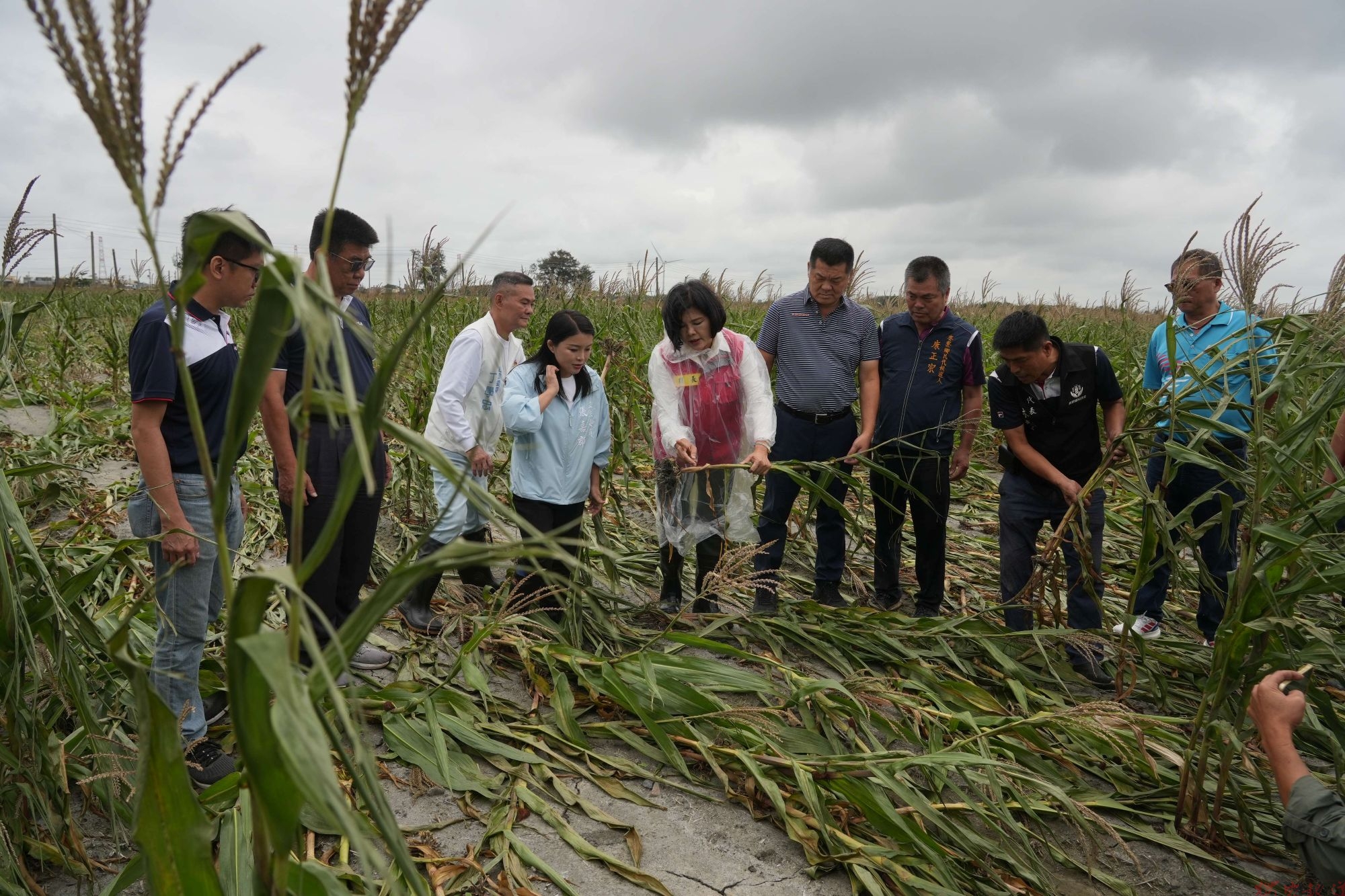 強風致雲林農損與大規模停電 縣府全力會勘爭取救助 強風致雲林農損與大規模停電 縣府全力會勘爭取救助