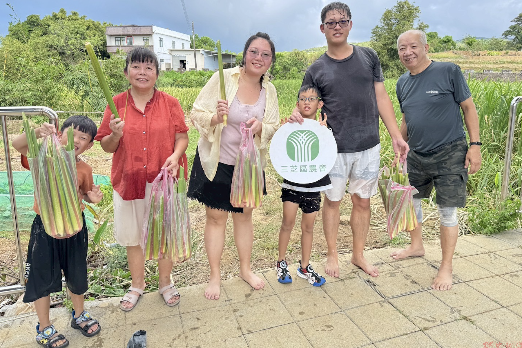 秋季品嘗三芝茭白筍 新北市農業局與農會推一日體驗遊程 秋季品嘗三芝茭白筍 新北市農業局與農會推一日體驗遊程