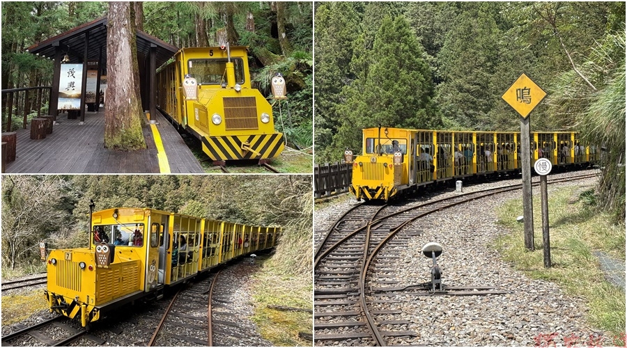 軌道橋面局部受損及邊坡土石流失 太平山蹦蹦車調整行駛區間 軌道橋面局部受損及邊坡土石流失 太平山蹦蹦車調整行駛區間