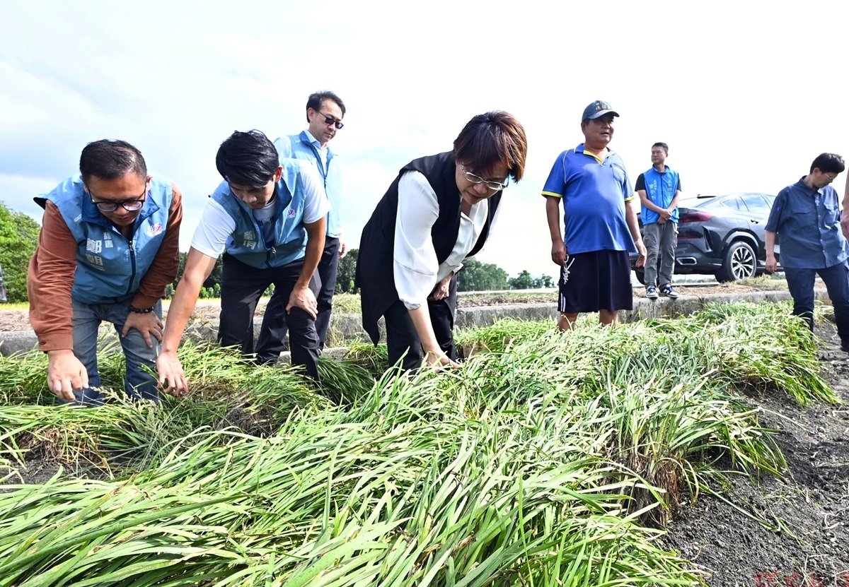 薔琵颱風重創農民心血 王惠美勘災:全力爭取全品項中央救助 薔琵颱風重創農民心血 王惠美勘災:全力爭取全品項中央救助