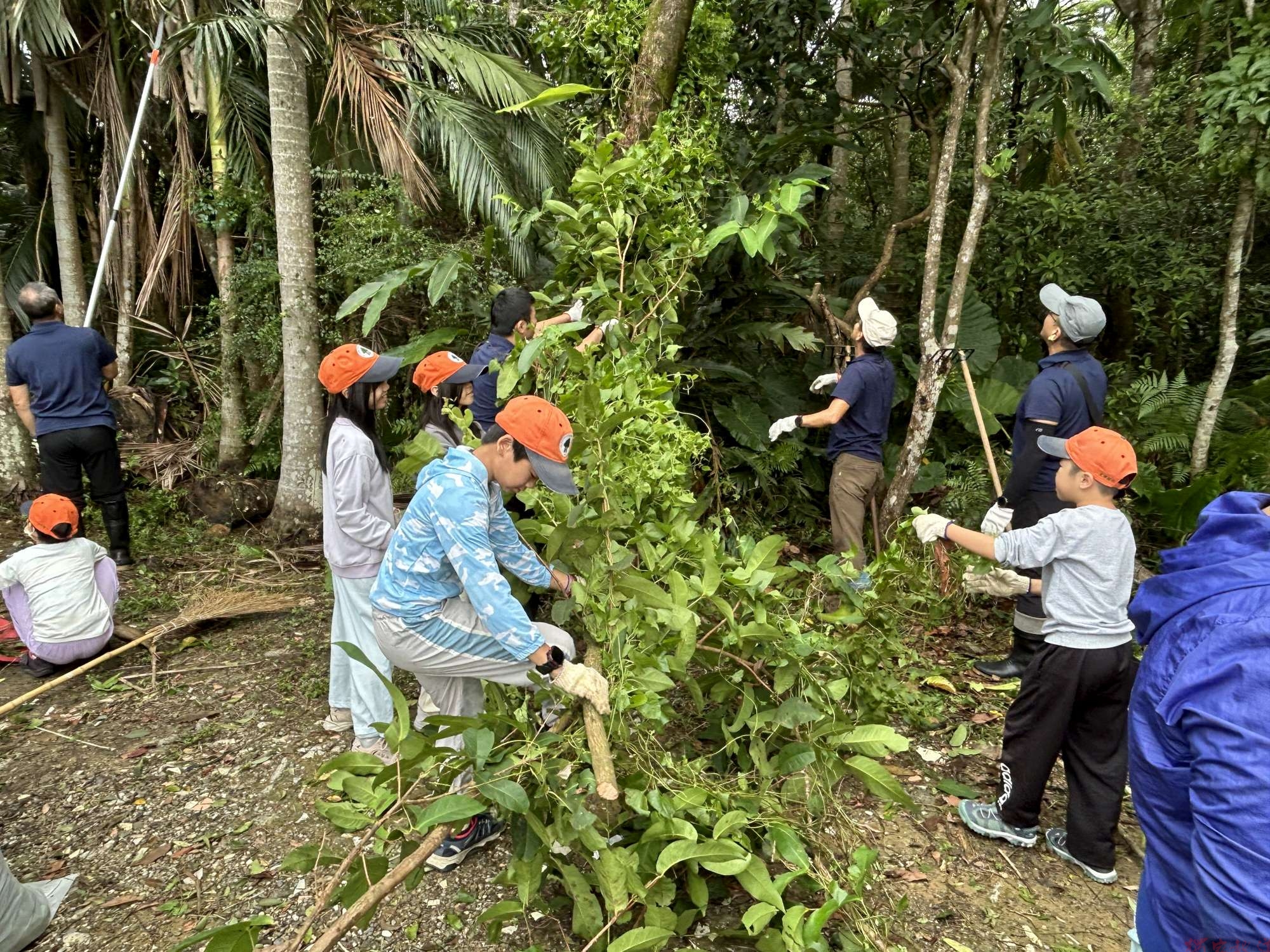 防堵「綠癌」蔓延 新竹分署攜手直潭國小除蔓護林 防堵「綠癌」蔓延 新竹分署攜手直潭國小除蔓護林