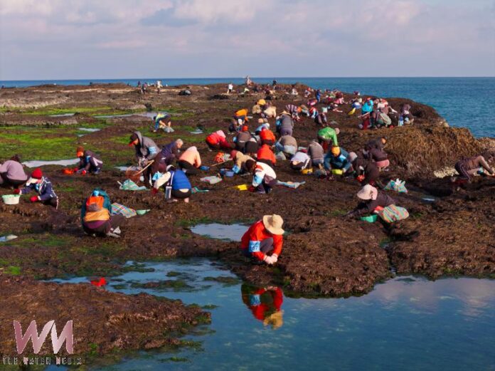 20260106020138_0_c6ece3