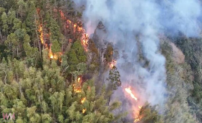 20260113171826_0_a19e22