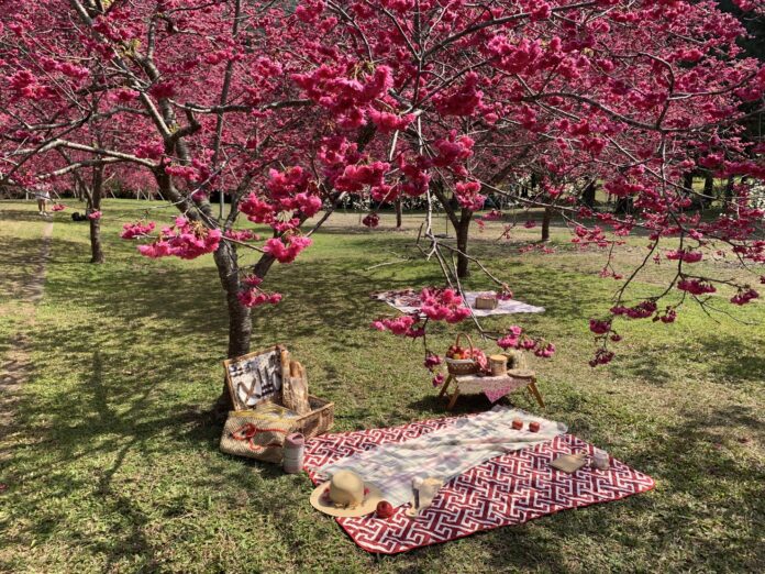 20260122161453_0_750987