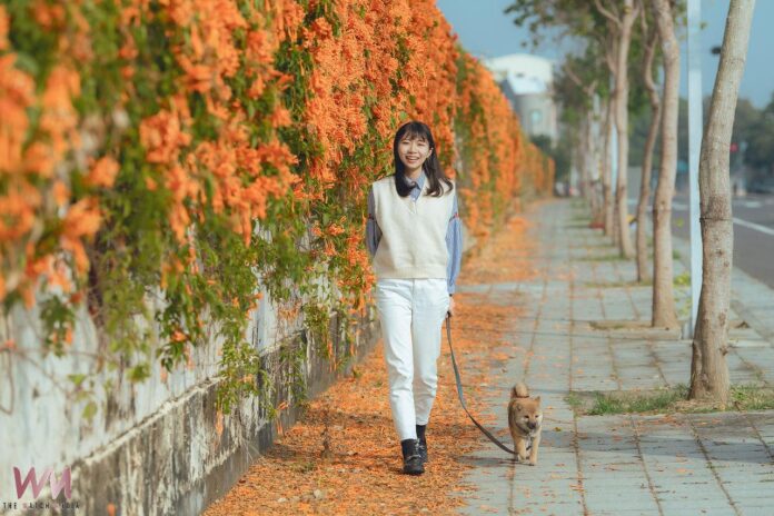 20260128162739_0_fffa76