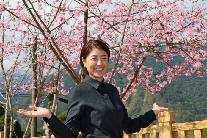 20260128164409_0_949159