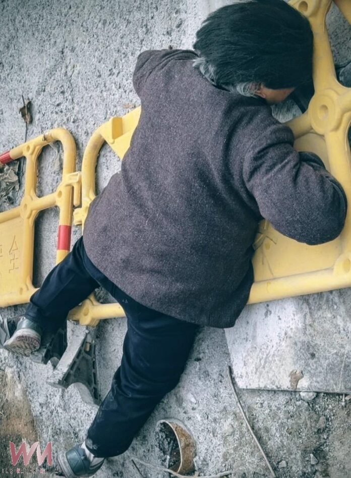 20260131062516_0_fa6cf3