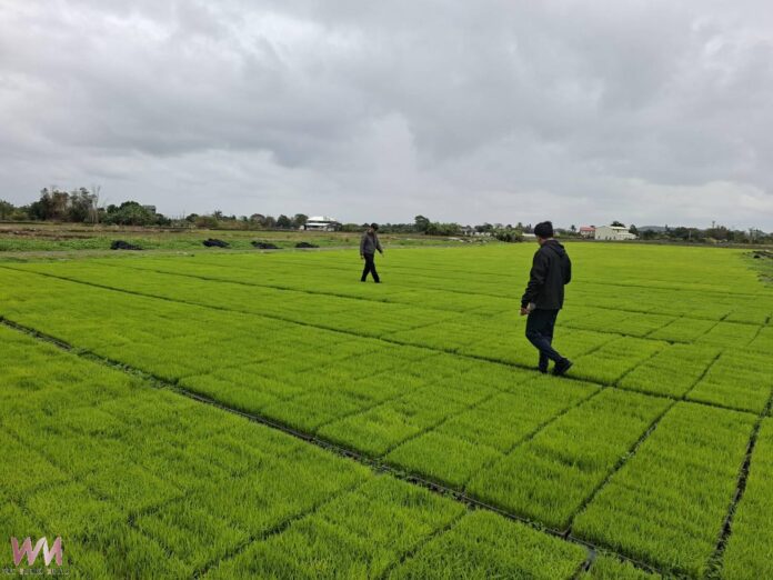 20260202180518_0_f939bf