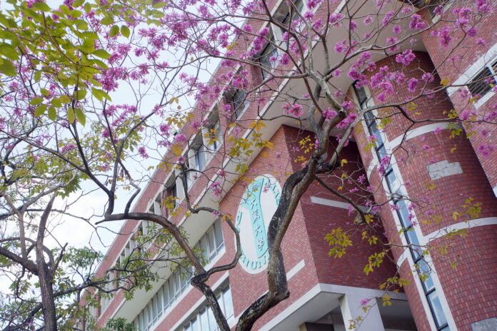 20260203195248_0_a88beb