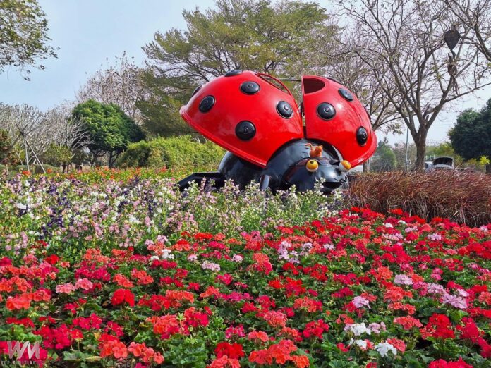 20260203204533_0_7019bf