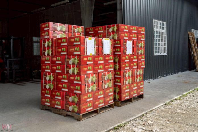 20260203211811_0_0734b5