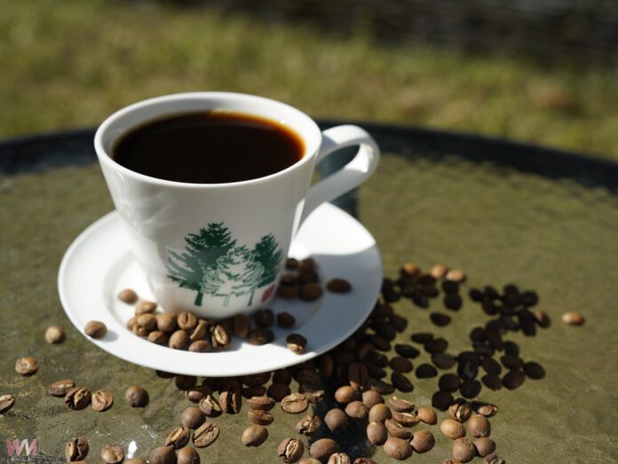 20260204205534_0_6b5911