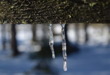 又濕又冷下探十度 大家要注意保暖! 大陸冷氣團再度發威今晚至明晨最冷,北部下探十度。(圖取自網路)