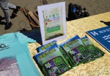 嘉縣廢棄蚵架變肥料 「海廢變寶藏·攜手護海洋」淨灘