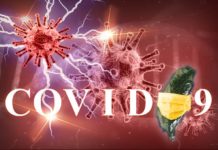 臺灣再增1例確診死亡 本土1例境外移入6例染疫