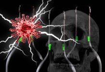 風景區驚現訂房潮民報復性出遊潮醫師神預言成真引網民讚嘆