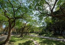 (有影片)/北市中山核心商圈 「璞園 森仰」擁萬坪綠意公園