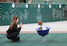 共享田園生活野餐樂趣 樹林彭興親子公園啟用 圖片取材自新北市府官網