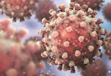 印度Delta變種病毒入侵臺灣醫師揭快速降級解封條件預言七月底降級