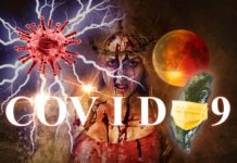 臺灣再現0例確診死亡 本土1例境外移入7例染疫