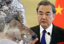 美媒數說易怒中國戰狼 霸氣彪悍真的足嗎?