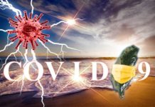 BA.5疫情恐擴大?陳秀熙:台灣免疫防火牆已築起