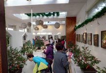 明年再見! 台北茶花展即將謝幕 圖/台北市政府提供