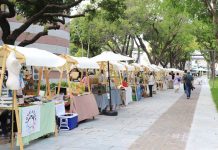 朴子藝術公園全新啟用 朴通市集擴大舉行雙場域