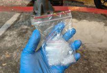 毒星該敗!想黑吃黑遭文一警電眼「看」破 圖/台北市政府提供