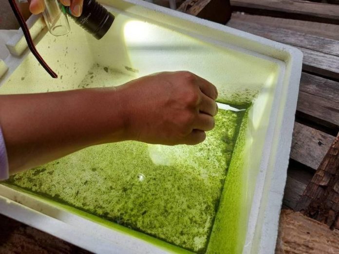 2afde2682791b938f4583afd396780dd