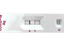 衛福部:本週宣布全民適用快篩陽即確診 診所醫師扮要角