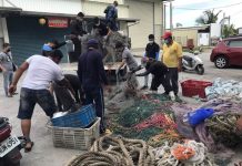 屏東縣廢漁網回收再利用開跑 年度總獎勵金再提高 圖片取材自屏東縣政府官網