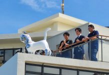 《船仔貓》特展超夯 賴副總統參觀看海美術館