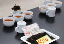 2023臺灣小葉種優良紅茶競賽成績揭曉