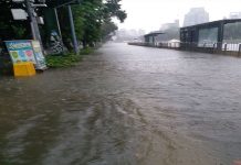 大雷雨襲擊雙北 大安森林公園大淹水
