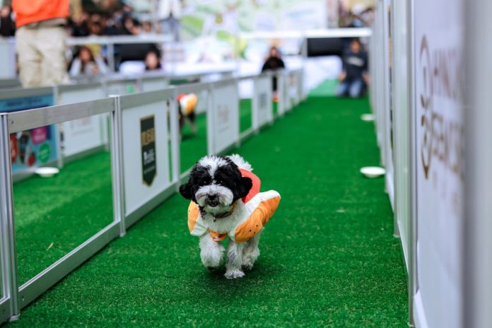 「汪汪笑嘻嘻寵物嘉年華」夢時代歡樂登場 萌趣十足-人潮滾滾high翻天! 「汪汪笑嘻嘻寵物嘉年華」夢時代歡樂登場 萌趣十足-人潮滾滾high翻天!