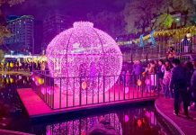 3/14中港光雕河廊約會 告白成功贈炫彩玫瑰 3/14中港光雕河廊約會 告白成功贈炫彩玫瑰