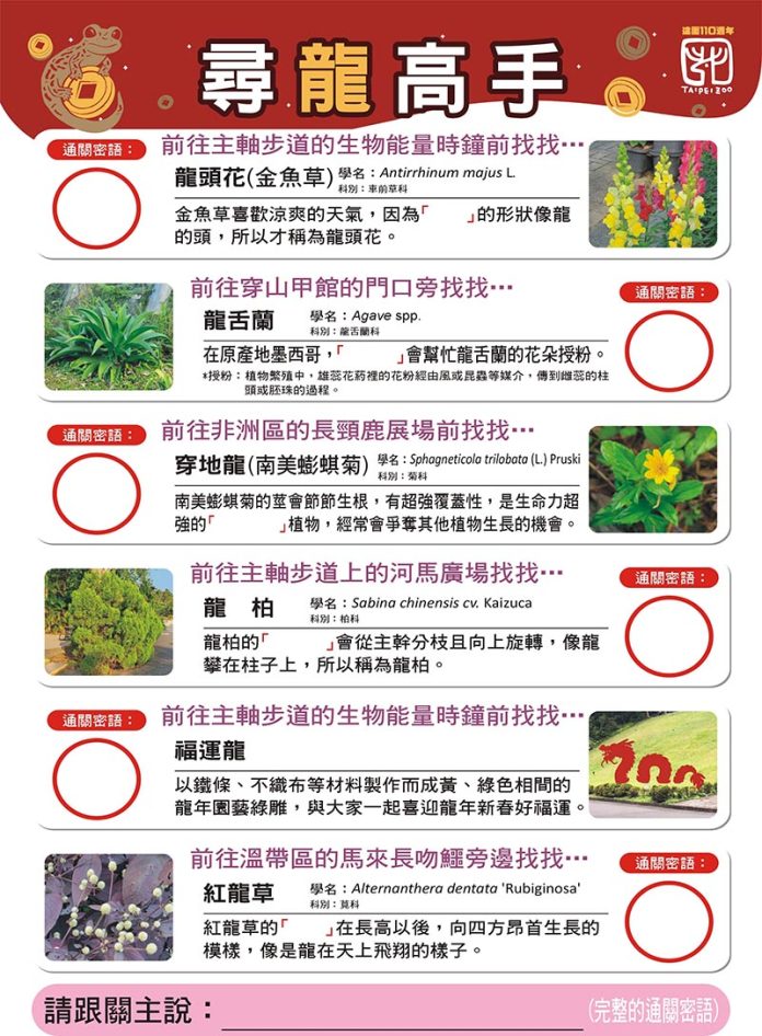 44516e27-cac9-4e2f-b3db-da6cac22c680 拷貝 圖/台北市政府提供