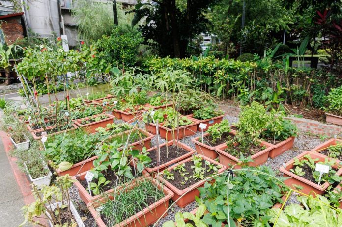 44848f54-8761-40a7-84b2-b25d55215aa0 圖/台北市政府