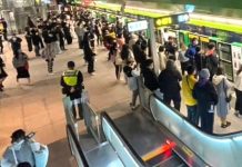 中捷跨年運量5.9萬人次創新高 自行車低音提琴可上捷運 中捷跨年運量5.9萬人次創新高 自行車低音提琴可上捷運