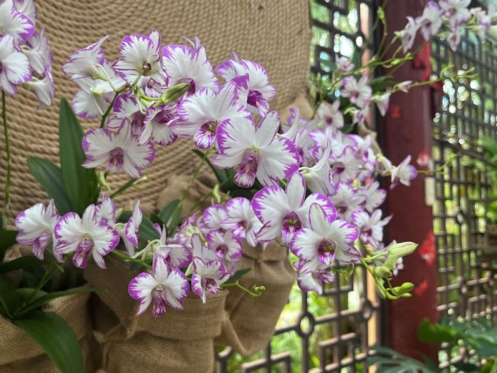 52e074ed-7a4a-4fea-9ebe-c1ac623d98b5 圖/台北市政府