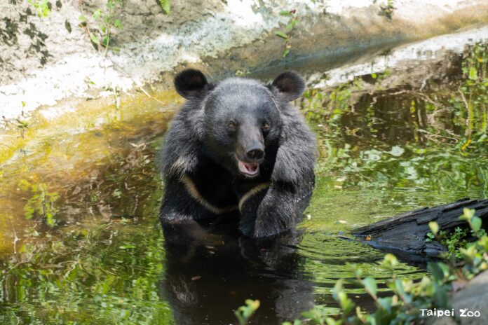 53574098-1450-4913-9b3b-7eb50112be82