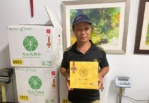 防疫不忘保障農友生計新北好茶宅在家購