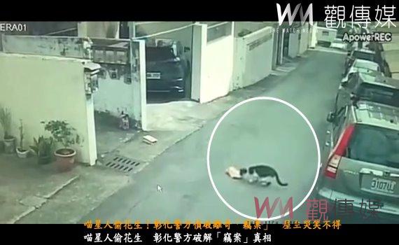 喵星人偷花生！彰化警方偵破離奇「竊案」　屋主哭笑不得